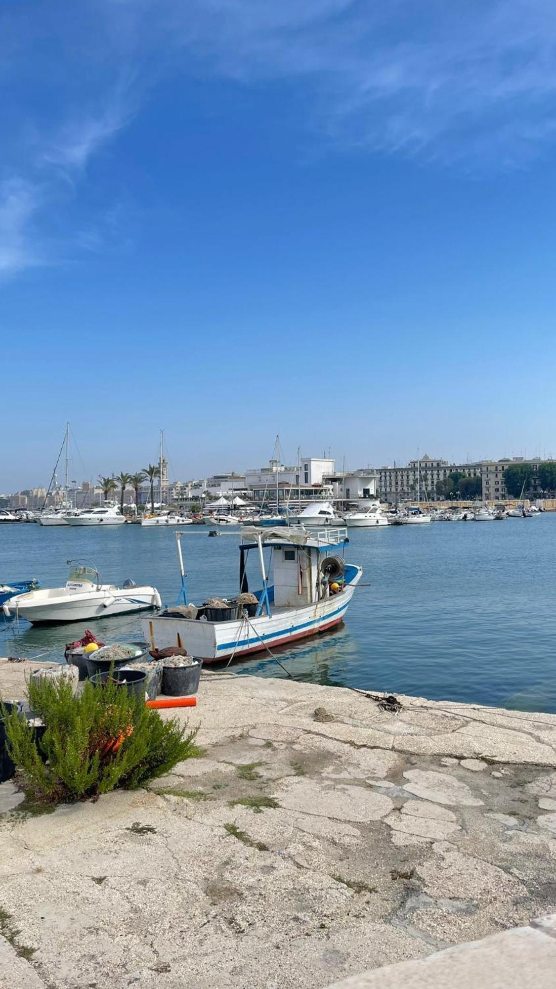 Locazione Turistica Madera Ξενοδοχείο Μπάρι Εξωτερικό φωτογραφία